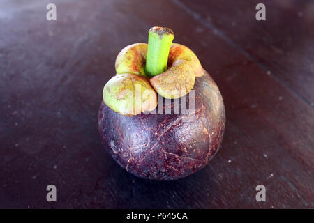 Lila mangosteen, eine tropische Frucht. Lokal als "anggis" in Indonesien bekannt. Stockfoto