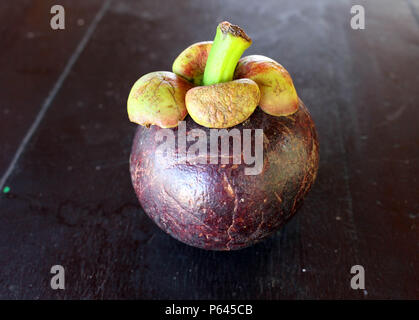 Lila mangosteen, eine tropische Frucht. Lokal als "anggis" in Indonesien bekannt. Stockfoto