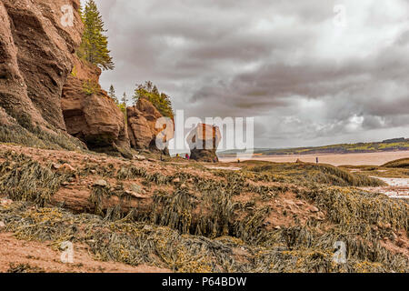 Hopewell Rocks - "blumentöpfe" - Bucht von Fundy Attraktion. Stockfoto