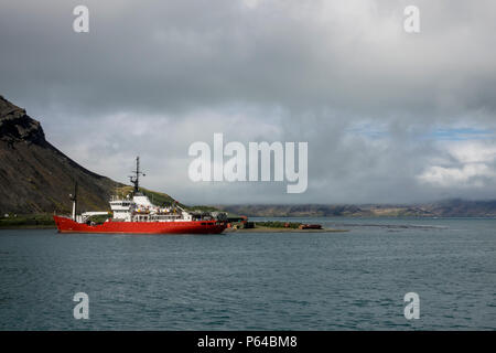 Die pharos SG Fisheries Protection Schiff am King Edward Point, South Georgia Island Stockfoto