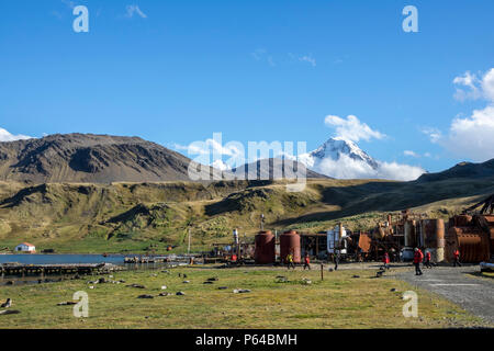 Expeditionsschiff Passagiere in Grytviken, mit schneebedeckten Gipfel im Hintergrund, Südgeorgien Stockfoto