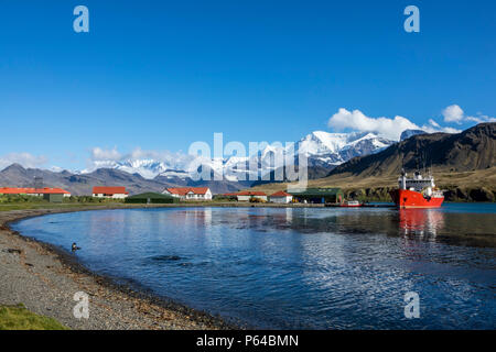 Die pharos SG Fisheries Protection Schiff am King Edward Point, South Georgia Island Stockfoto