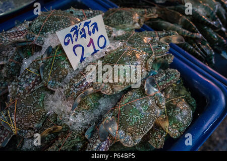 Blauen Krabben für Verkauf an klongsan Plaza Market - Bangkok, Thailand Stockfoto