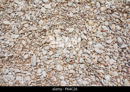 Kleine natürlich poliert white rock Kiesel Hintergrund. Weiß Pastell runde Steine am Strand. Urlaub, Wandern auf den Steinen am Strand Stockfoto