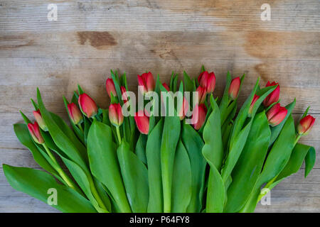 Ein Bündel von Tulpen liegt auf einem alten Holz- Oberfläche. Stockfoto