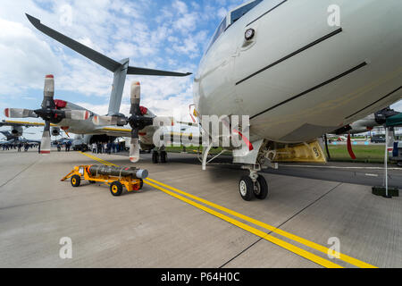 Seeüberwachungsflugzeuge Lockheed P-3C Orion und leichte U-Torpedo Mark 46, Mod 5 im Vordergrund. Deutsche Marine. Stockfoto