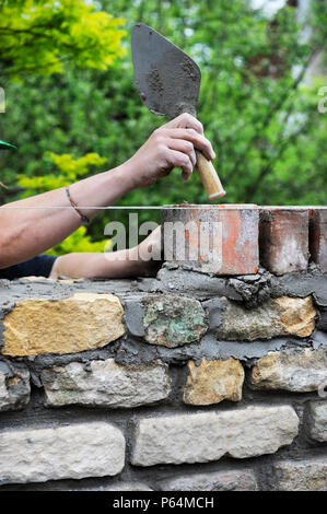 Bau einer Gartenmauer mit Cotswold Stone und aufgearbeiteten roten Ziegeln UK Stockfoto