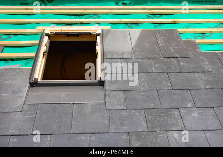 Einbau eines Velux Fenster auf einem Schieferdach im Bau, die atmungsaktiv und Dichtungsbahnen mit Holzstäben Stockfoto