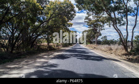 Australische Land ländliche Straße mit Eukalyptus Gummi Bäumen Stockfoto