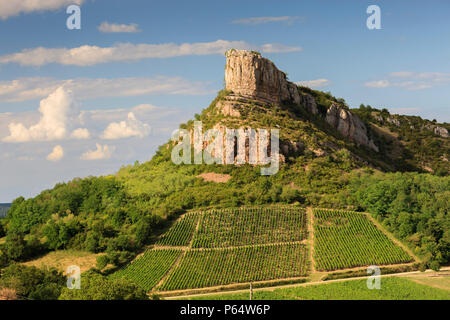 Felsen von Solutré mit Weinberge rund um solutre Pouilly Saône-et-Loire Bourgogne-Franche-Comte Frankreich Stockfoto