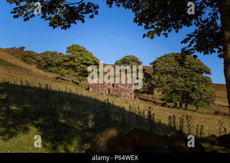 Die Kakerlaken, Staffordshire, Peak District National Park, Großbritannien Stockfoto