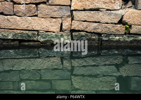Ziegelsteine auf Wasser und dessen invertiertes Reflexion im Wasser Stockfoto