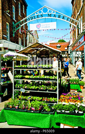 Shamble Markt, York, England Stockfoto