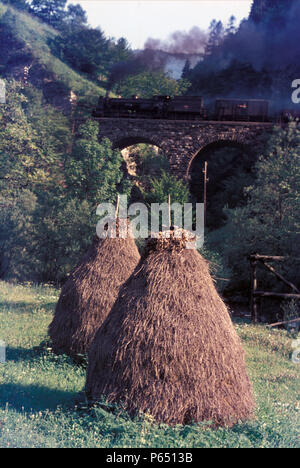 Eine ehemalige österreichische Staatsbahn 0-10-0 durch den legendären Karl Golsdorf am Arbeitsplatz inmitten der rauen Landschaft Sloweniens entwickelt, im August 1972. Diese engin Stockfoto