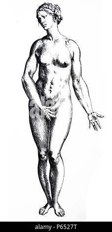 Die Platten aus dem Inbegriff der De Humani Corporis Fabrica von Andreas Vesalius (1514-1564) Platte 82 - Die Zahlen reproduziert in Platten 82-85 waren heraus zu schneiden und in der Konstruktion verwendet werden, durch Überlagerung von zwei Büsten, eines davon war die Topographie und die Beziehungen der Eingeweide in der weiblichen und in der männlichen zu zeigen. Stockfoto