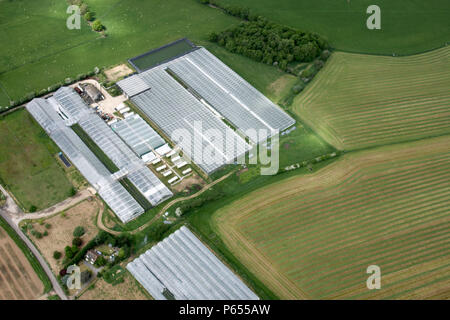 Luftaufnahme nordöstlich von Green House, poly Tunnel, Felder, landwirtschaftlichen Gebäuden nordöstlich von Tonbridge, Kent, Großbritannien Stockfoto