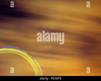 Abstrakte Sicht auf das London Eye, London, Vereinigtes Königreich Stockfoto