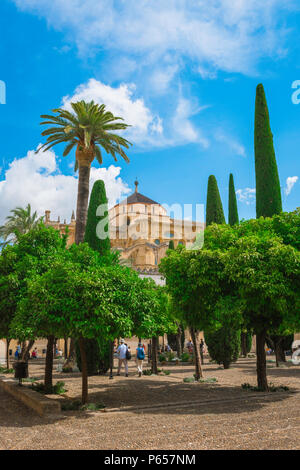 Blick auf den Patio de Los Naranjos (Innenhof der Orangenbäume) in der Kathedrale von Córdoba Moschee (Mezquita) in Córdoba (Córdoba), Andalusien, Spanien Stockfoto