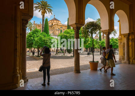 Cordoba Andalucia Spanien, Blick auf den Patio de los Naranjos in der Moschee der Kathedrale von Cordoba, eingerahmt von maurischen Bögen in der umliegenden Kolonnade. Stockfoto