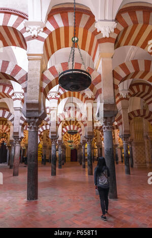 Andalusien Spanien reisen, eine junge Frau, die touristischen Besuch der Kathedrale Moschee (Mezquita) in Córdoba Studien seiner maurischen Architektur, Andalusien, Spanien Stockfoto