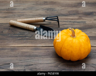 Helles orange Bio Kürbis mit Kelle und kultivator auf dunklen Holztisch Hintergrund zeigen bunte Muster und Ausmaß im Halloween verwendet, Stillleben, Küche, und die Landwirtschaft und das Land Themen Stockfoto