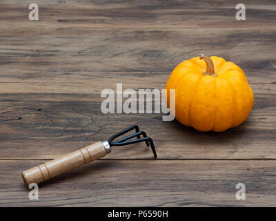 Helles orange fancy Bio Kürbis mit kultivator auf dunklen Holztisch Hintergrund zeigen bunte Muster und Ausmaß im Halloween verwendet, Stillleben, Küche, und die Landwirtschaft und das Land Themen Stockfoto