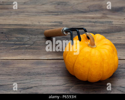 Helles orange fancy Bio Kürbis mit kultivator auf dunklen Holztisch Hintergrund zeigen bunte Muster und Ausmaß im Halloween verwendet, Stillleben, Küche, und die Landwirtschaft und das Land Themen Stockfoto