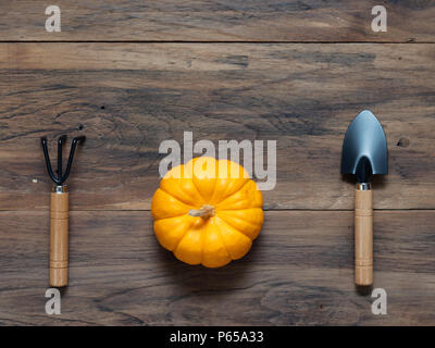 Helles orange Bio Kürbis mit Kelle und kultivator auf dunklen Holztisch Hintergrund zeigen bunte Muster und Ausmaß im Halloween verwendet, Stillleben, Küche, und die Landwirtschaft und das Land Themen Stockfoto