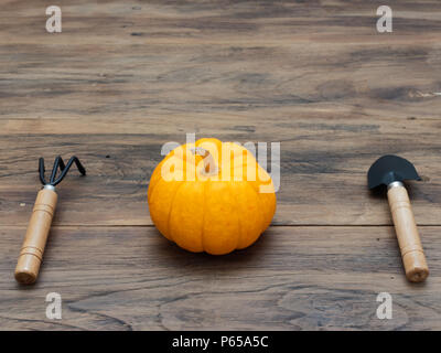 Helles orange Bio Kürbis mit Kelle und kultivator auf dunklen Holztisch Hintergrund zeigen bunte Muster und Ausmaß im Halloween verwendet, Stillleben, Küche, und die Landwirtschaft und das Land Themen Stockfoto