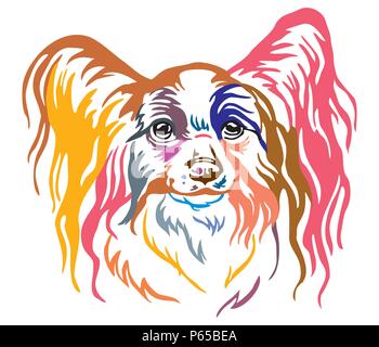 Bunt dekorativ Portrait von Papillon Dog, Vector Illustration in verschiedenen Farben auf weißem Hintergrund. Bild für Design und Tattoo. Stock Vektor