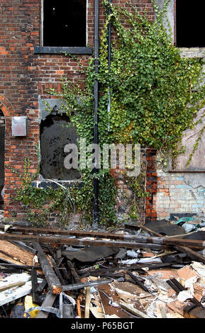 Heruntergekommene Reihenhäuser Viktorianischen Häuser Abriss wartet, Salford, in der Nähe von Manchester, England, UK. Der Salford regeneration Ziel ist es, zu gewährleisten, dass jede Stockfoto