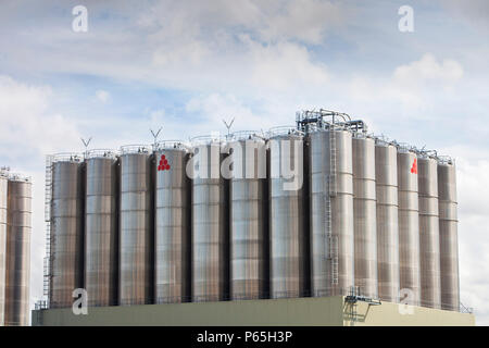 Eine PE-Anlage in Grangemouth Ölraffinerie, Schottland, Großbritannien. Stockfoto