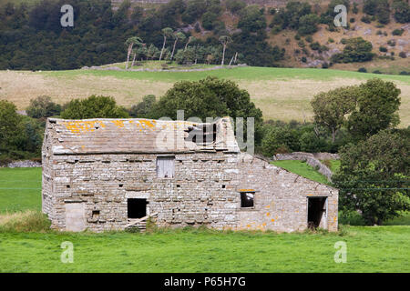 Eine alte Scheune in Landwirte leiden unter Vernachlässigung in den Yorkshire Dales National Park in der Nähe von Bainbridge, UK. Stockfoto