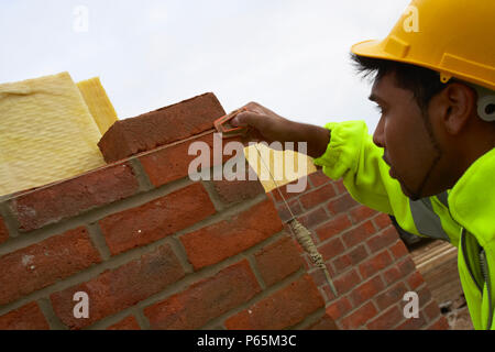 Maurer Kontrolle mit string Line auf einem Haus Baustelle, England, UK. Stockfoto