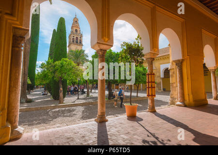 Andalusien Spanien, Blick von einer Maurischen Wandelgang auf den Patio de Los Naranjos und die Torre del Alminar in der Kathedrale/La Mezquita Cordoba. Stockfoto