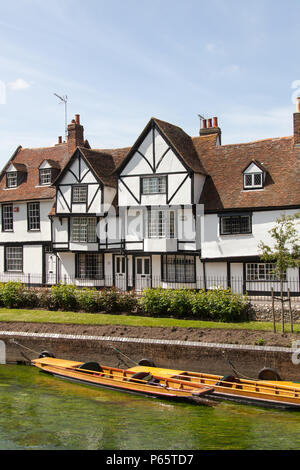 Stadt Canterbury, England. Riverside Wohnimmobilien an der Canterbury Westgate Grove, mit stocherkähne günstig auf dem Fluss Great Stour. Stockfoto