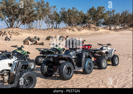 Die tunesische Stadt müssen ist das Tor zur Sahara. Moderne Technologie ersetzt die Hüften der Wüste' - dromedare. Stockfoto