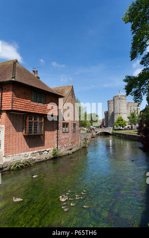 Stadt Canterbury, England. Aussicht auf den malerischen Fluss Great Stour, mit dem mittelalterlichen Westgate Towers mit im Hintergrund. Stockfoto