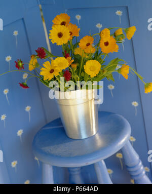 Still-Life von gelben Ringelblumen in Metall Vase auf blau lackierten Hocker Stockfoto