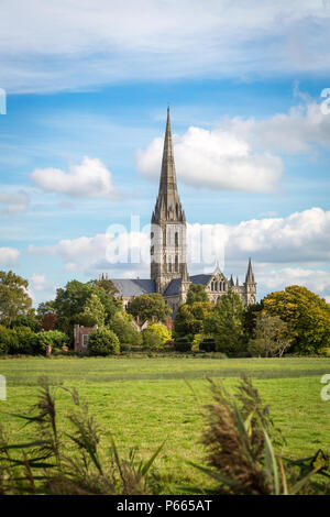 Die Kathedrale von Salisbury gesehen von den Wiesen Stockfoto