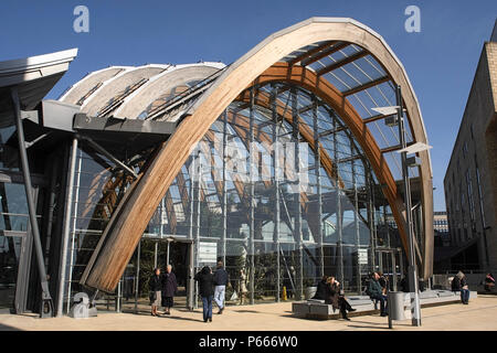 Wintergarten, Sheffield, Yorkshire und Humber, England. Stockfoto