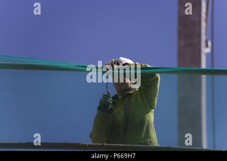 Arbeitnehmer zur Festsetzung eines Gerüstes gemeinsame auf einer Baustelle mit grünen Schutzgitter vor. Stockfoto