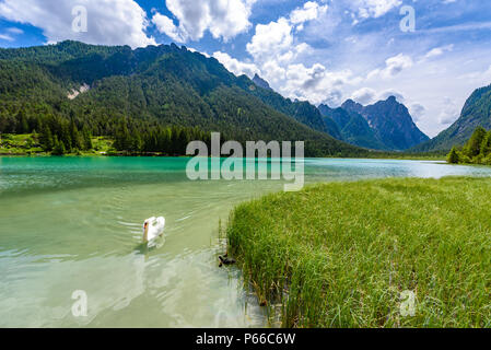 Toblach (Toblacher See, Lago di Dobbiaco), Dolomiten, Südtirol, Italien - Reiseziel in Europa Stockfoto