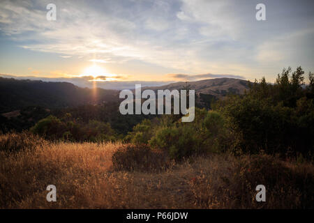 Strahlen, die von der untergehenden Sonne leuchten Trocken goldene Gras in den Marin Headlands Stockfoto