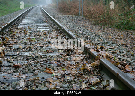 Blätter auf der Linie, Leicestershire. November 2005 Stockfoto