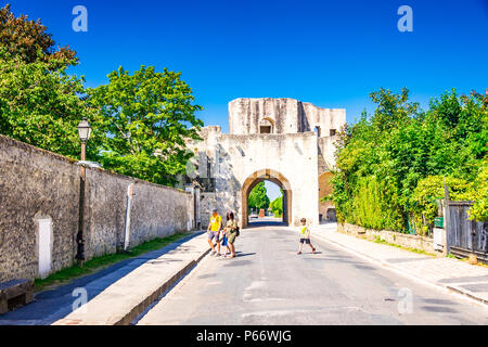 Saint-Jean's Gate ist Teil der Stadtmauer der mittelalterlichen Stadt Provins, Frankreich Surround Stockfoto
