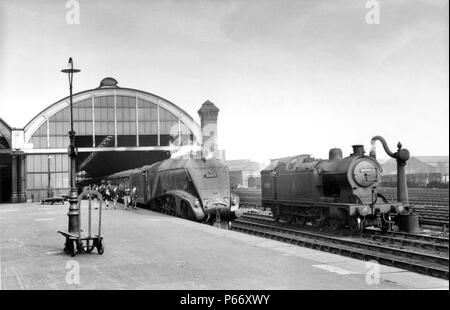 Darlington station Blick nach Norden von der southend der wichtigste Plattform am 10. Oktober 1953. Gresley A4 Pacific Nr.60006 Sir Ralph Wedgewood Köpfe Stockfoto