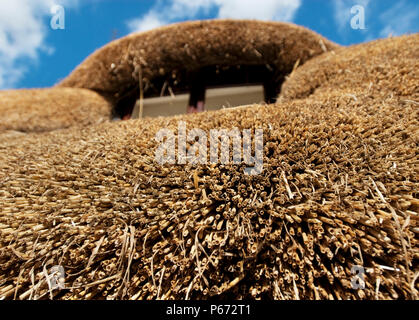 Nahaufnahme Detail einer Cottage mit Strohdach Essex England Großbritannien Stockfoto