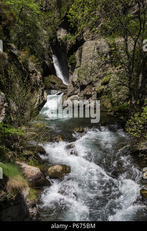 Salz de Fontalba Wasserfall an dem Punkt, wo sie den Rio de Nuria Fluss im Tal Vall de Nuria, Katalonien, Spanien Stockfoto