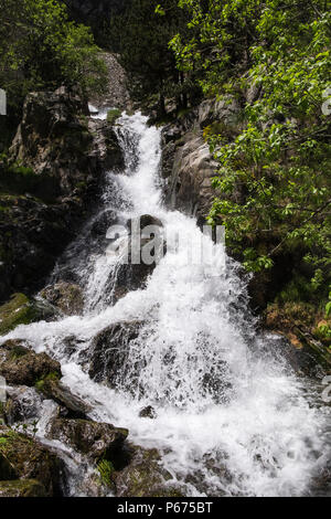 Salz de Fontalba Wasserfall an dem Punkt, wo sie den Rio de Nuria Fluss im Tal Vall de Nuria, Katalonien, Spanien Stockfoto